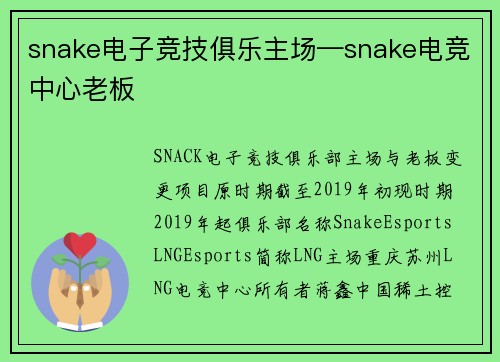 snake电子竞技俱乐主场—snake电竞中心老板